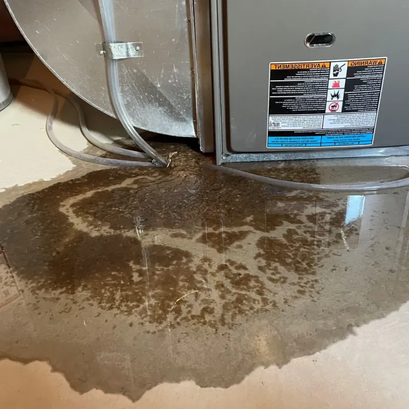 Pipe Burst and Leak Restoration in Latham, NY